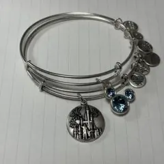 WDW Alex And Ani ブレスレット　ディズニーワールド限定　レア