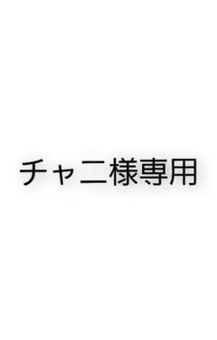 チャニ様専用ページ