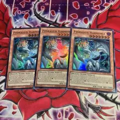 遊戯王 泰亜版 調和ノ天救竜 3枚セット ウルトラレア - メルカリ