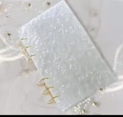 Item thumbnail for item b9c0012f-c039-40e9-b41c-b7a1d6061437