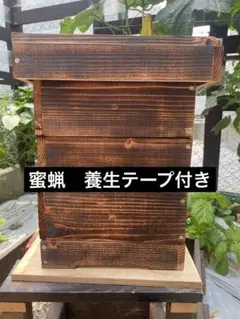 jbeebase81製 日本蜜蜂重箱式巣箱の継箱（重箱） - メルカリ