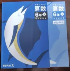 2026年最新】予習シリーズ 四谷大塚 6年の人気アイテム - メルカリ