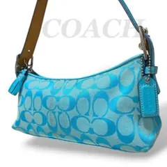 【希少】COACH コーチ アクセサリーポーチ 6371 シグネチャー ブルー