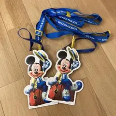 ディズニー　ミッキー形　パスケース　バケーションパッケージ2個セット