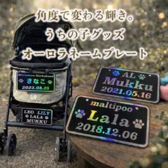 Item thumbnail for item 16f4c7b5-5f27-4b51-8dcf-aae13ec27de8