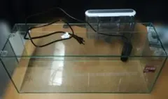 【12/16 19時まで限定価格】GEX 内蔵フィルター付きガラス水槽