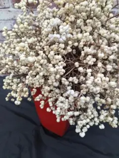 2025年最新】ナンキンハゼの実の人気アイテム - メルカリ