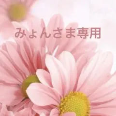 みょんさま専用