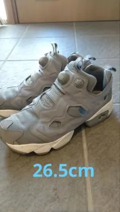 Reebok Instapump Fury グレー