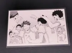 ハイキュー!! ハイキュー クロニクル 青葉城西 10th フォトカード