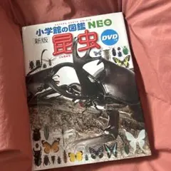 小学校の図鑑NEO 昆虫 DVD