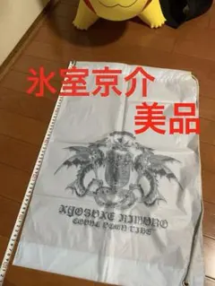 氷室京介 COUNT DOWN LIVE 05-06 バッグ