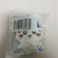 ちいかわ ハチワレだらけくじ E賞 ぬいぐるみバッジ(フー)