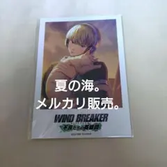 梶蓮 WIND BREAKER ウィンヒロ ポラロイドカード ウィンブレ