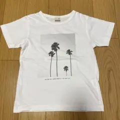 【よりどり３点999円】 プティマイン　半袖　tシャツ ヤシの木柄　110㎝