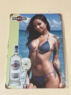 MARTINI マルティーニ ブリキ看板 インテリア