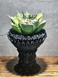 モンきち様 リクエスト 2点 まとめ商品