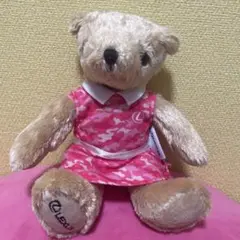 Item thumbnail for item 95aef80b-b5ab-499f-9681-358663b19ca7