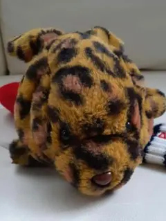 Item thumbnail for item dd58b3b8-a32f-4a3b-9c1f-5731addce9e7