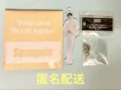 【スキズ スンミン】straykidsミニアクスタ