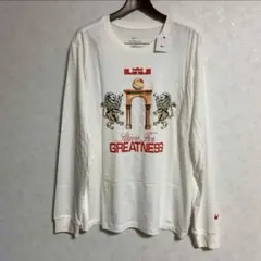 NIKE レブロン　長袖　Lサイズ　ロンTのサムネイル