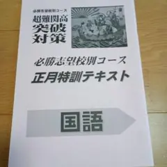 2026年最新】早稲アカ 正月特訓の人気アイテム - メルカリ