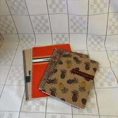 Item thumbnail for item a751ab53-93ef-40a4-b357-8de5bbfb8106