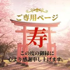 メル32660様 リクエスト 2点 まとめ商品