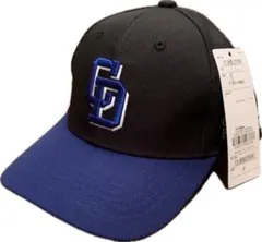 新品 中日 ドラゴンズ キャップ FC 20周年記念限定品 大人フリー