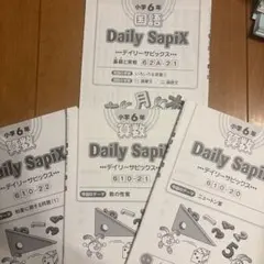 Daily SapiX 小学6年 国語 テキスト ディリーサピックス 09と10 - メルカリ