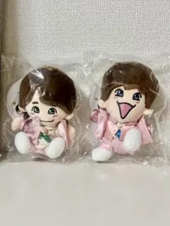 なにわ男子 ちびぬい グッズ 大橋和也 なにわ 新品 ファイル ぬい