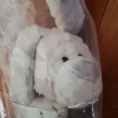 NICI ニキ　ペンケース　ウサギ