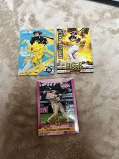 山川穂高　ソフトバンクホークス　若鷹ガチャ　タカコレ
