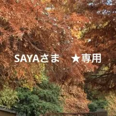 さや様★専用ページ