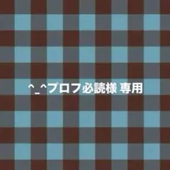 ︎^_^プロフ必読様 専用