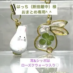 はっち(断捨離中)様 リクエスト 2点 まとめ商品