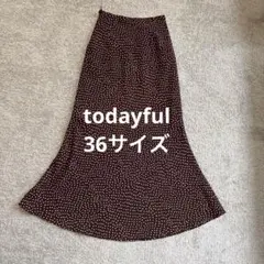 todayful ドット柄 フレアスカート ブラウン 36のサムネイル