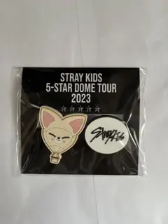 StrayKids アイエン FCくじ クリップ