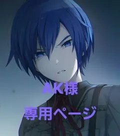 AK様専用ページ