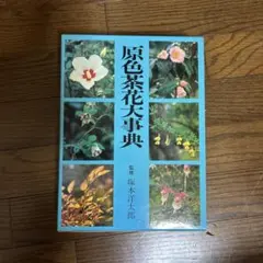 茶道】原色茶花大事典 - メルカリ