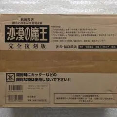 未開封 井上和香 和香さま就寝セット 週刊ヤングマガジン誌上限定