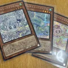 マルチャミー　フワロス　プルリア　ニャルス　シク