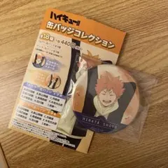 ハイキュー　お天気版権第二弾缶バッジ 日向翔陽