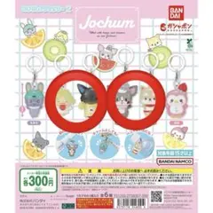 JOCHUMめじるしアクセサリー1、2