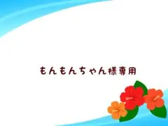 もんもんちゃん様 リクエスト 2点 まとめ商品