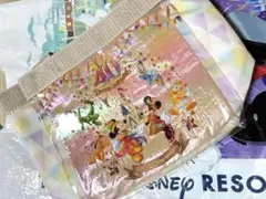 東京ディズニーリゾート 40周年スーベニアランチケース 【お値下げ不可】