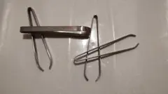 Item thumbnail for item 43c349a5-34e2-49f8-9451-999af3a3198d