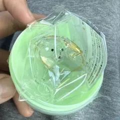 うちの子のけだまだま　三角たれみみ