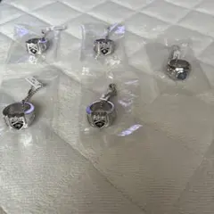 家庭教師ヒットマンREBORN! ボンゴレリング 5個セット大空　晴　嵐