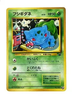 996.ポケモンカード フシギダネ LV.15 旧裏 イントロパック 杉森建